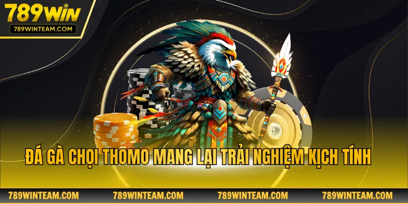 Đá gà chọi Thomo mang lại trải nghiệm kịch tính