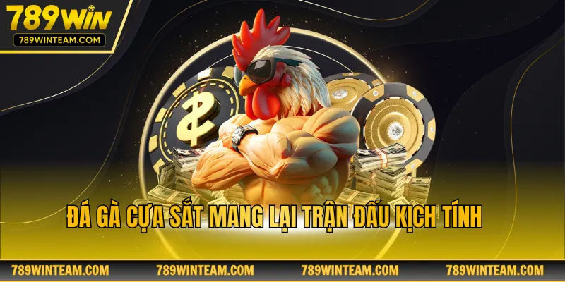 Đá gà cựa sắt mang lại trận đấu kịch tính