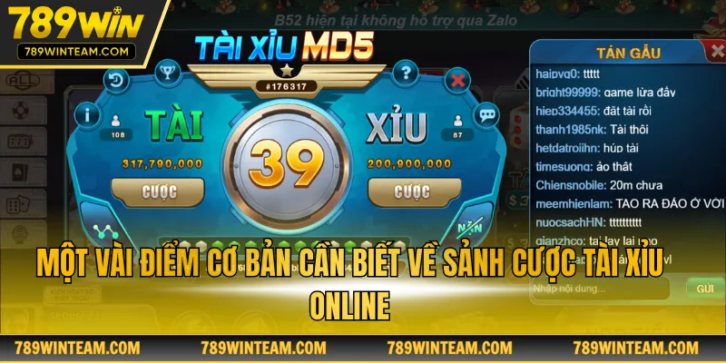 Một vài điểm cơ bản cần biết về sảnh cược tài xỉu online