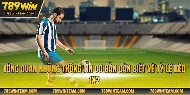 Tổng quan những thông tin cơ bản cần biết về tỷ lệ kèo 1x2
